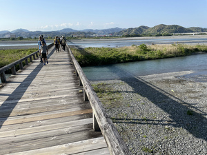 大田区 大森 蒲田 横浜 池上 脳外科 せいき はつねつ　発熱 熱 頭痛 片頭痛 清木クリニック.jpg